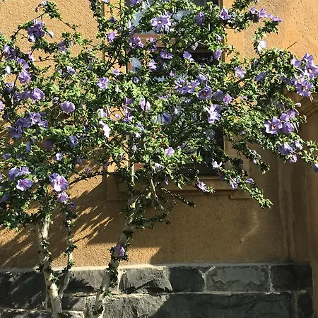 דירה Am Sahnpark *